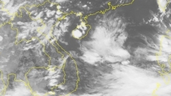 Biển Đông xuất hiện vùng áp thấp mới, lo bão số 4