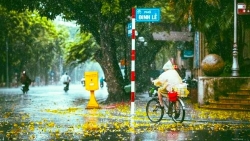 du bao thoi tiet ngay 238 mua dong bao trum bac bo bac trung bo