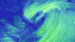 Áp thấp nhiệt đới gây mưa lớn gió giật trên vùng biển từ Hà Tĩnh vào Nam