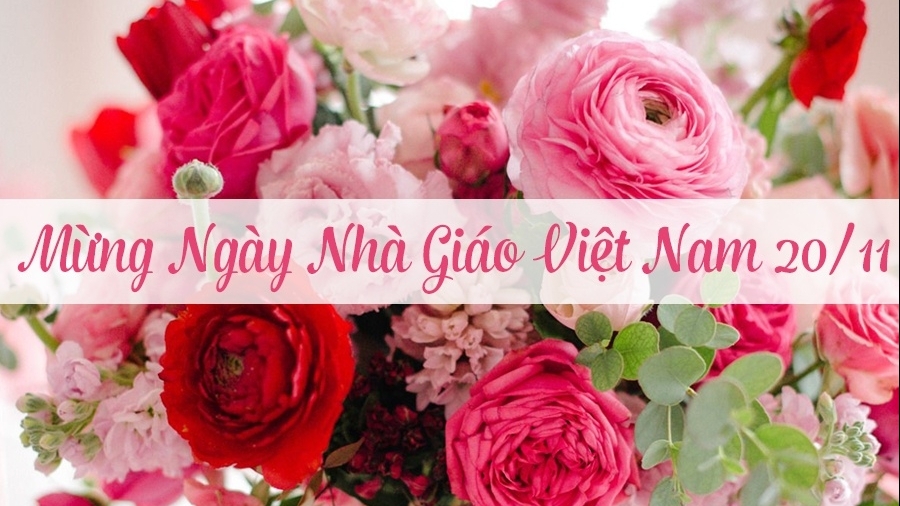 20 lời chúc 20/11 ý nghĩa nhất tặng thầy cô ngày Nhà giáo Việt Nam