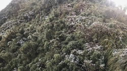 dinh fansipan suong muoi phu trang canh cay ngon co
