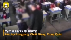 clip phan no thay giao hanh hung doc nguoc hoc sinh tieu hoc