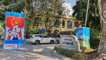 ha noi ruc ro co hoa chao mung dai hoi xiii cua dang