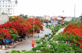 hai phong se ban phao hoa tam thap tai le hoi hoa phuong do