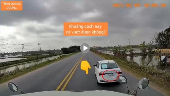 nghi van chim moi bay hang loat xe de vach tai thai binh