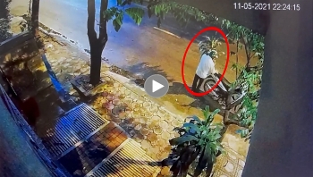 ngan ngam thanh nien nua dem di lay trom cay canh