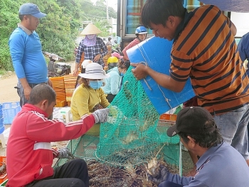 thu tuong pham minh chinh chuyen nong nghiep san luong cao sang nong nghiep cong nghe cao sinh thai