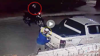Hai tên trộm liều lĩnh cậy logo khi tài xế đang ngủ trên xe