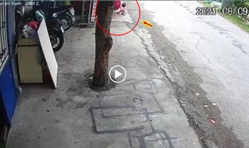 thot tim canh chau be chut xiu bi o to lui vao nguoi