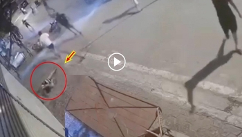 thanh nien tu vong sau khi bi danh hoi dong