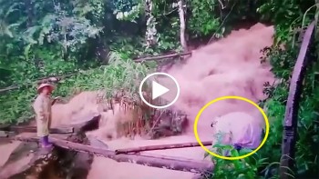 dung tim theo doi canh co giao mam non cong con nho vuot dong lu chay xiet
