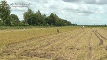 duy tri chu ky san xuat nong nghiep khong de dut gay nguon cung nong san