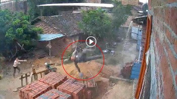 nguoi dan ong bi thuong nang khi gian giao bi sap