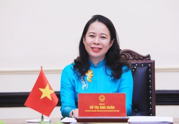 pho chu tich nuoc dien dam voi pho tong thong chlb nigeria