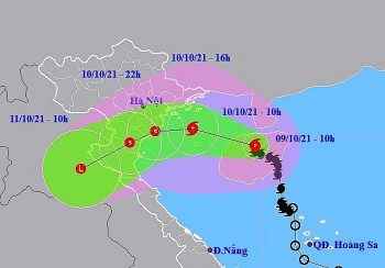 cap nhat tin bao khan cap va cac chi dao ung pho