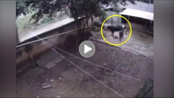 trau dien lien tuc tan cong nguoi dan ong