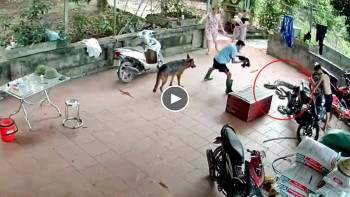 nguoi dan ong bat ngo bi tran khung tan cong