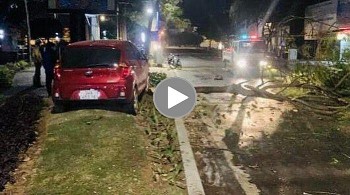 khoanh khac o to lao len via he dam gay cay xanh