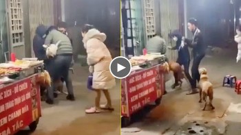 kinh hoang canh 3 nguoi lon vat lon ngan can cho pitbull len con dien giua pho