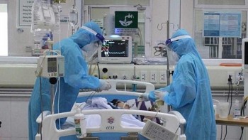 tinh den sang 71 con hon 900 benh nhan covid 19 nang dang tho may va ecmo