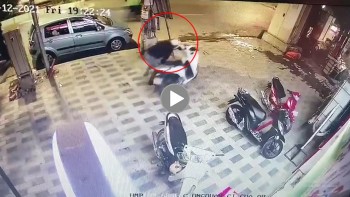 ten trom nhanh tay be khoa xe sh roi luon cung dong bon