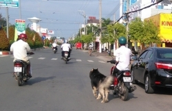 tu 112020 dat cho di dao tren duong bang xe may se bi xu phat 200000 dong