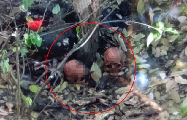 kinh hoang phat hien 7 bo xuong nguoi trong lo cao su o tay ninh