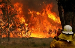 chinh phu australia chi 52 trieu usd ho tro du lich sau tham hoa chay rung