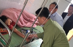 mau thuan gia dinh ngay giap tet mot phu nu an la ngon tu tu