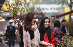 gio mua dong bac tran ve ngay mung 1 tet bac bo chim trong mua ret