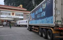 dung lam thu tuc hai quan qua cac duong mon loi mo voi trung quoc do virus corona