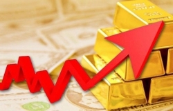 du bao gia vang ngay 23 lo ngai covid 19 nha dau tu se ban thao vang