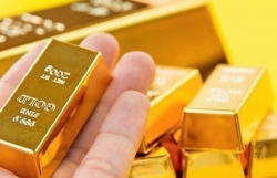 du bao gia vang ngay 233 chuyen gia du bao vang se tang tro lai
