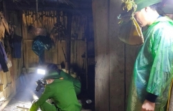 tin phap luat 24h nong nhat hom nay 63 em trai bang hoang phat hien chi bi sat hai da man trong choi canh ray