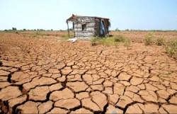 tu 163 den 64 xam nhap man o dbscl se giam dan