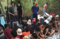 tin phap luat 24h nong nhat hom nay 223 tam giu trum co bac bien hoa tinh so