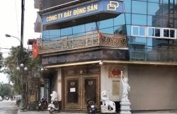 vi sao cong ty bat dong san cua dai gia duong nhue dong thue 0 dong