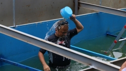 chuyen gia nhat ban tam ngup lan o song to lich