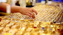 gia vang cam dau lao doc co nen dau co