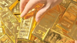 bat on gia tang gia vang hom nay 49 len dinh