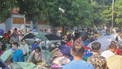 ha noi cho to dong anh chay du doi tieu thuong hot hoang om do bo chay