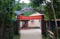 nghe an vi sao nu hieu truong mam non chau phong tu tu