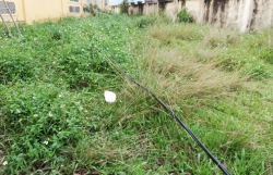 hoc sinh lop 2 bi dien giat tu vong soi day dien da roi xuong tu nhieu ngay truoc