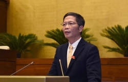 tuoc giay phep nhap khau va kinh doanh xe o to co cai cam duong luoi bo