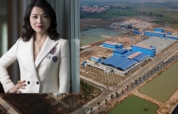 de nghi xem xet viec ban 34 cp nha may nuoc mat song duong cho nu ty phu nguoi thai