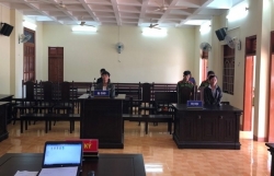 tai xe o to linh an tu vi vuot xe may khong bat den tin hieu khong bam coi