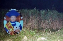 me ke khai giet con chong phi tang xac trong vuon mia la do co nguoi xui khien