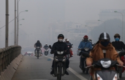 ha noi mu mit chim trong bau khong khi o nhiem nang