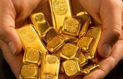 gia vang hom nay 2312 hoi phuc ngay truoc giang sinh