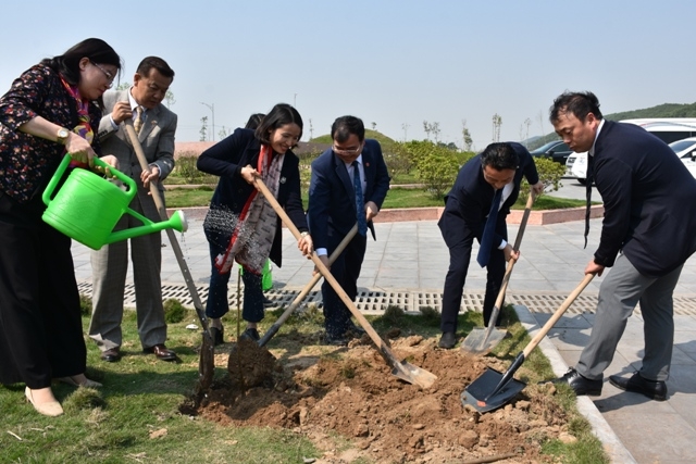 Thị xã Kinh Môn (Hải Dương) nhận 60 cây hoa anh đào từ Hội hữu nghị Việt-Nhật tỉnh Miyagi